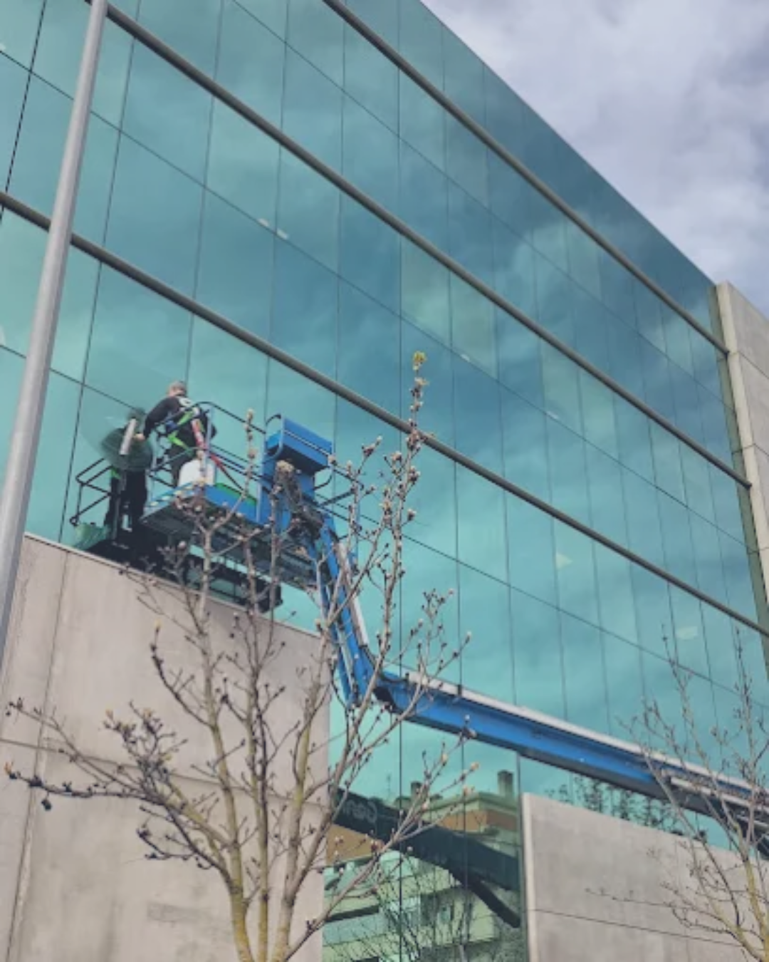 trabajos de limpieza de cristales en altura Mimsa Facilities